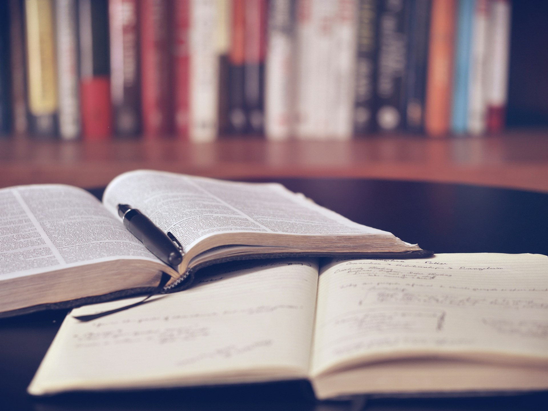Os cinco melhores livros de poker para iniciantes